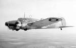 Highlight for Album: Anson W2586